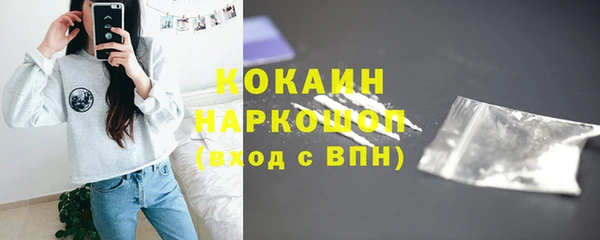 шишки Михайлов