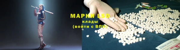 ГАЛЛЮЦИНОГЕННЫЕ ГРИБЫ Валуйки