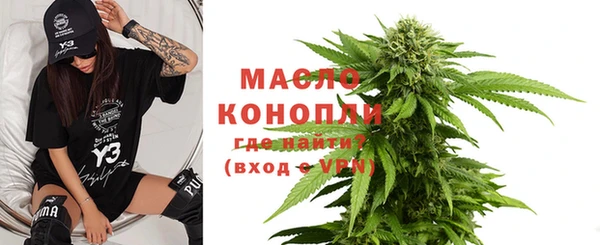 дживик Сясьстрой