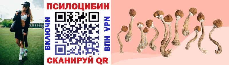 даркнет сайт  Островной  Псилоцибиновые грибы Magic Shrooms 